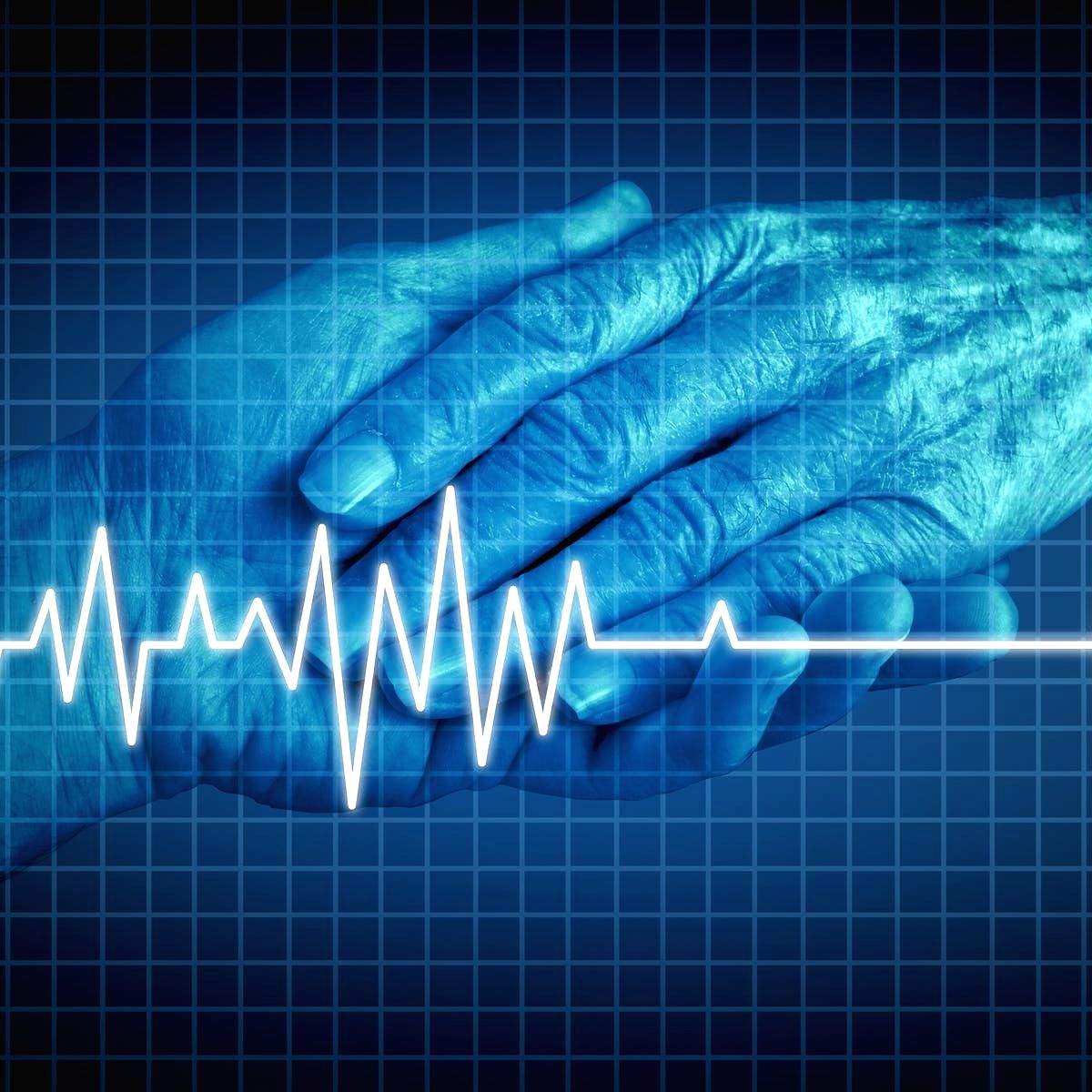 Gujarat family seeks permission from Governor for euthanasia - Vimarsana News