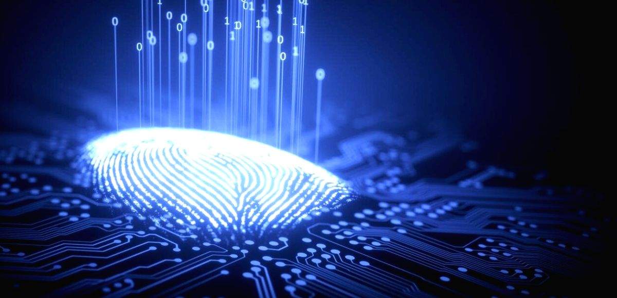 Over 3 in 10 people wish to delete their Internet footprint amid privacy thefts - Vimarsana News