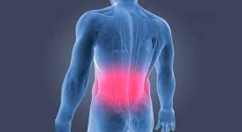 New study finds brain-based treatment of chronic back pain - Vimarsana News