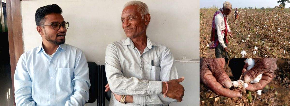 Barren fields, dwindling yields: How Bt cotton ditched farmers of Madhya Pradesh - Vimarsana News