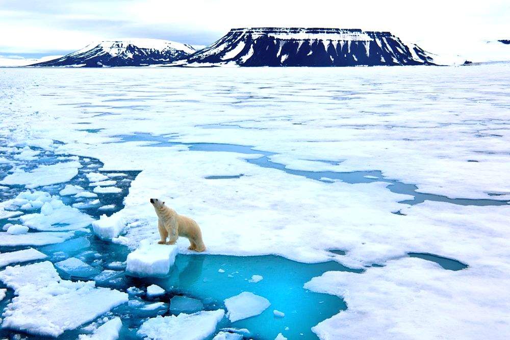 Explainer: IPCC report on 'Mitigation of Climate Change' - Vimarsana News