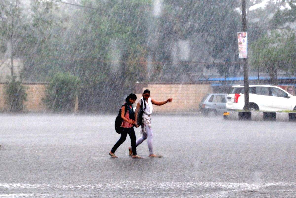 Uneven rainfall, fewer rainy days matters of concern for Madhya Pradesh - Vimarsana News