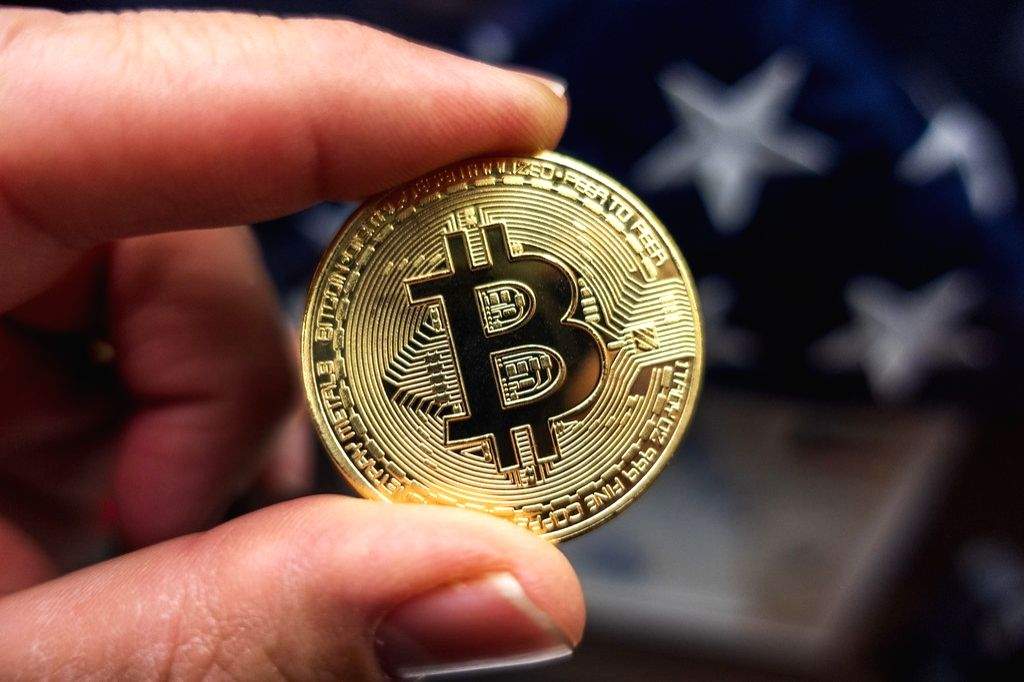 Karnataka Bitcoin scam: Arrested police inspector, cyber expert sent to CID custody - Vimarsana News