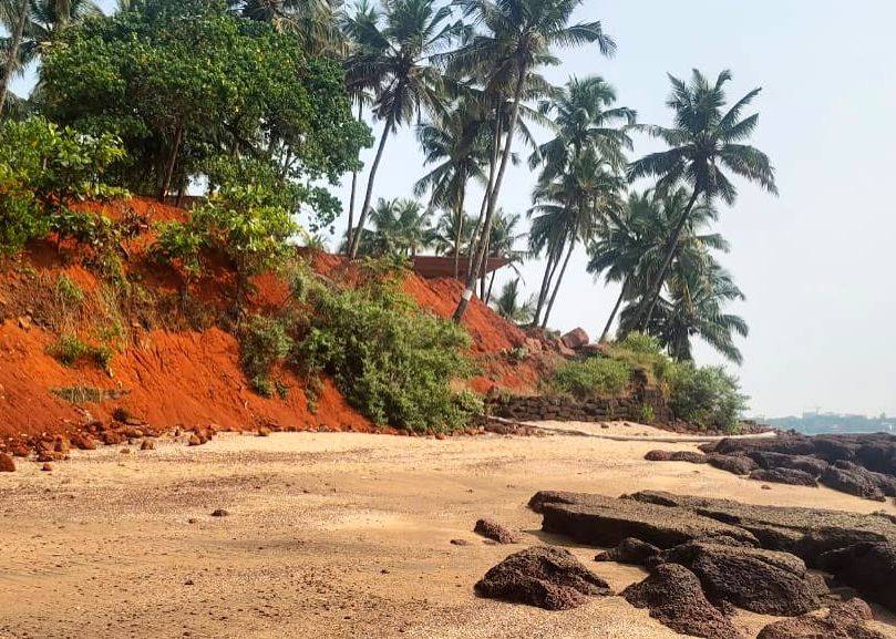 BJP govt going all-out to destroy environment, allowed illegal activities on river bank: Goa Cong leader - Vimarsana News