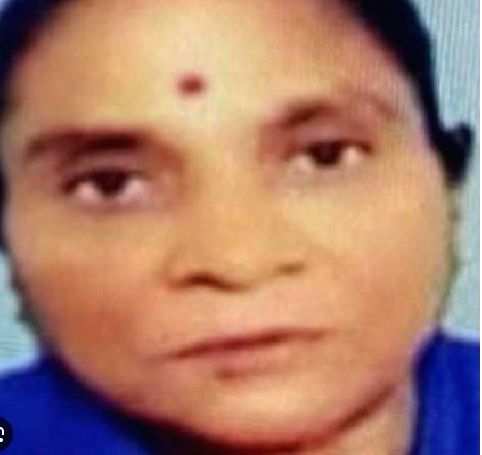 BJP MLA's wife goes missing from home in Lucknow - Vimarsana News