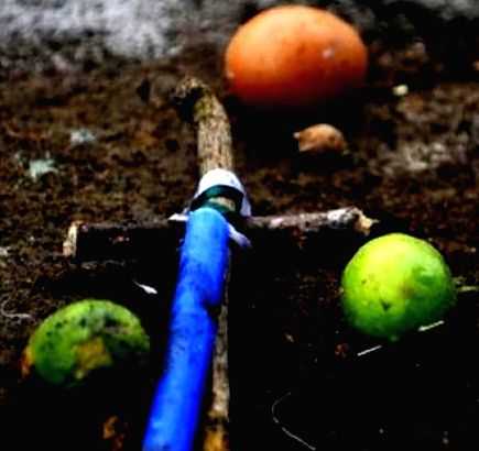 Nationwide law alone can stop occult practices(IANS Column: Beyond The Headline) - Vimarsana News