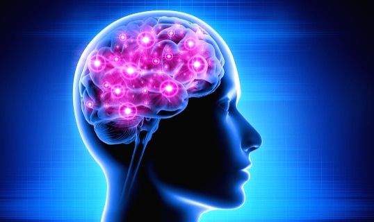 Researchers develop artificial connections for damaged nervous systems - Vimarsana News