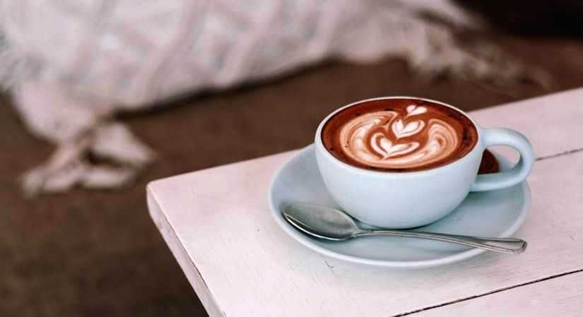 Brewing memories: Rediscover the bitter-sweet trail of coffee - Vimarsana News