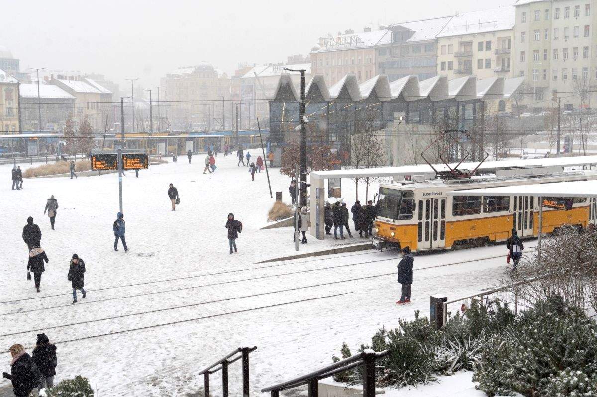 5 killed, over 10 injured as truck collides with train in Hungary - Vimarsana News