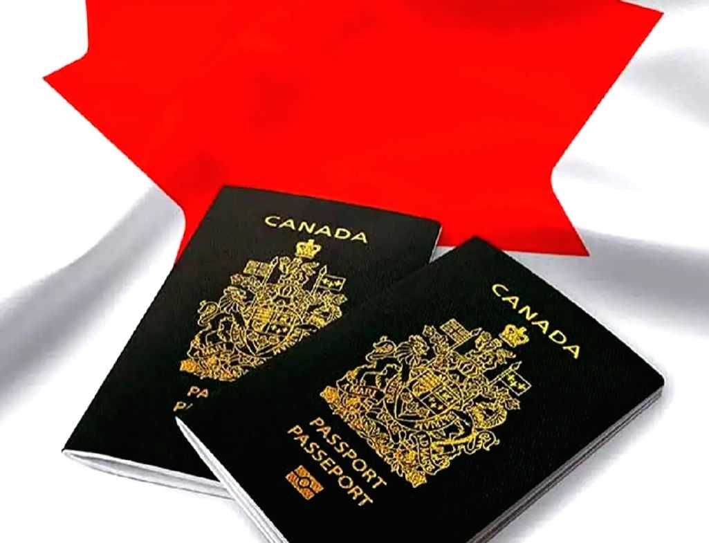 Canada's immigration backlog drops to 2.4 mn people - Vimarsana News