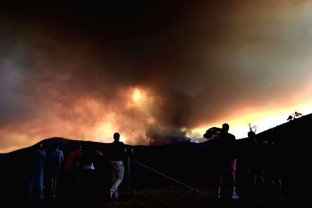 Aus govt fails to ward off effects of climate change: Survey - Vimarsana News