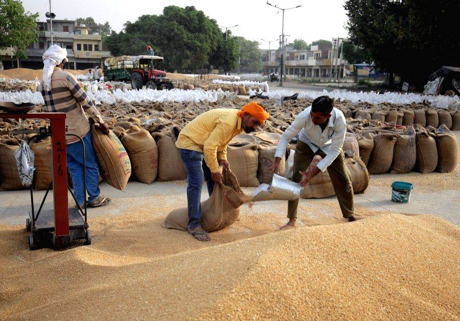 Centre to offload 30 lakh MT wheat to cool down prices - Vimarsana News