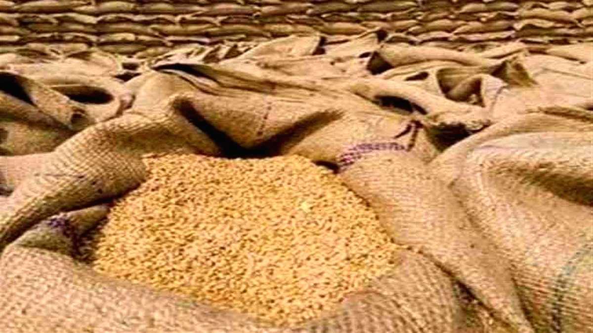 More inspections, sample analysis will have significant effect on food grains quality: Parl Panel - Vimarsana News