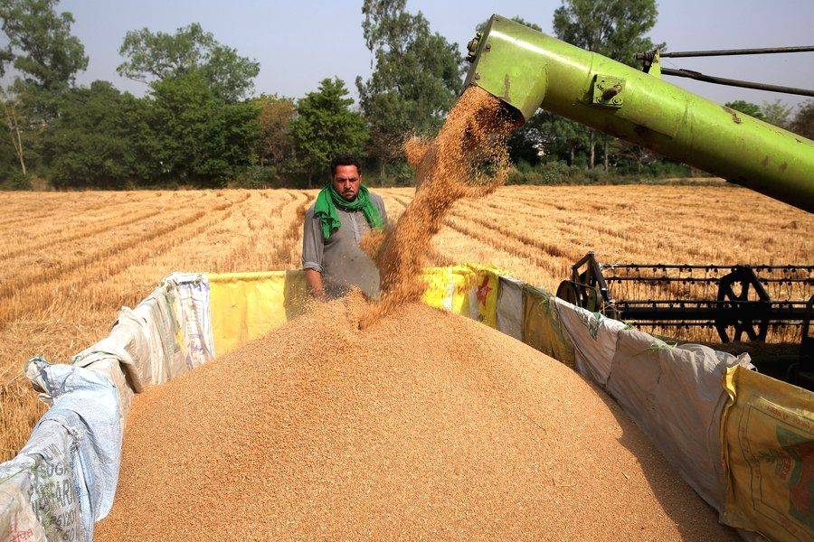 Centre relaxes norms for wheat procurement in Punjab, Haryana - Vimarsana News