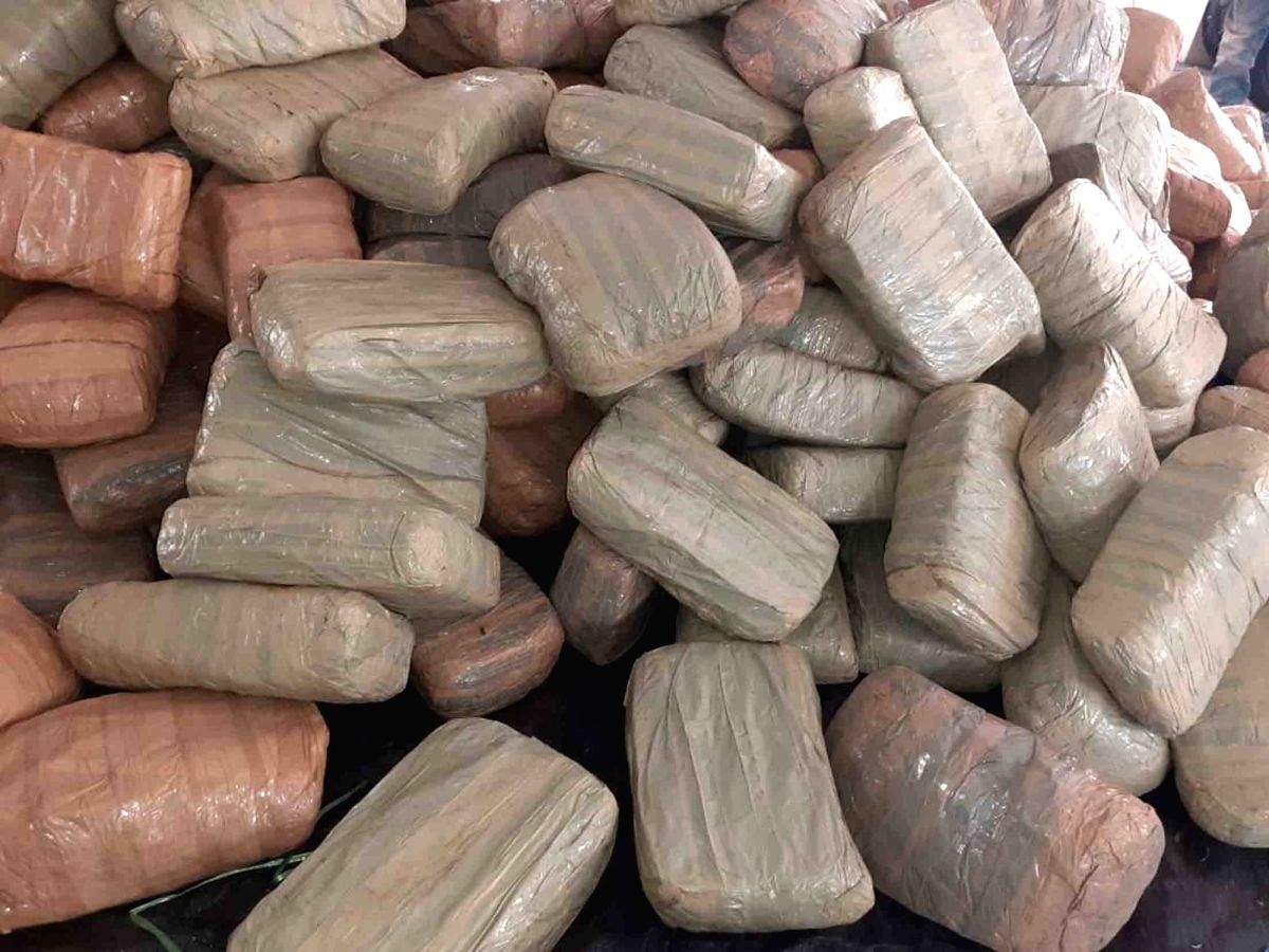 DRI seizes 155 kgs of Hashish in Oct - Vimarsana News