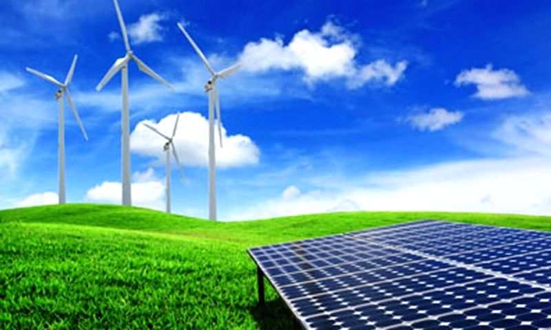 Greens demand higher share to meet India's international commitments - Vimarsana News