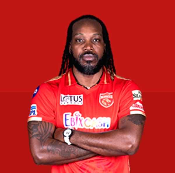 IPL 2023: Gayle, De Villiers, Raina headline Player Auction expert panel - Vimarsana News