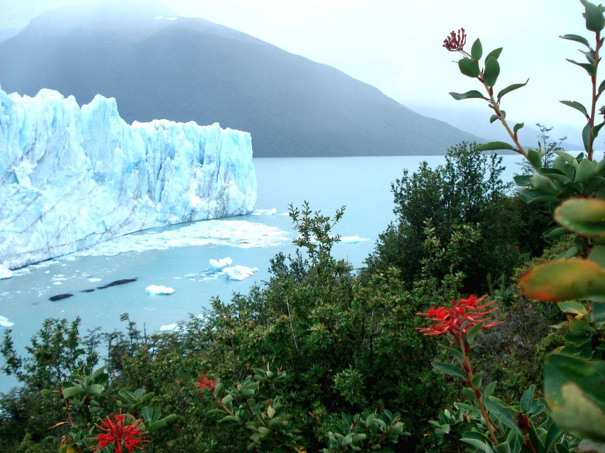 Climate change may cause shortage of essential omega-3 fatty acids: Study - Vimarsana News
