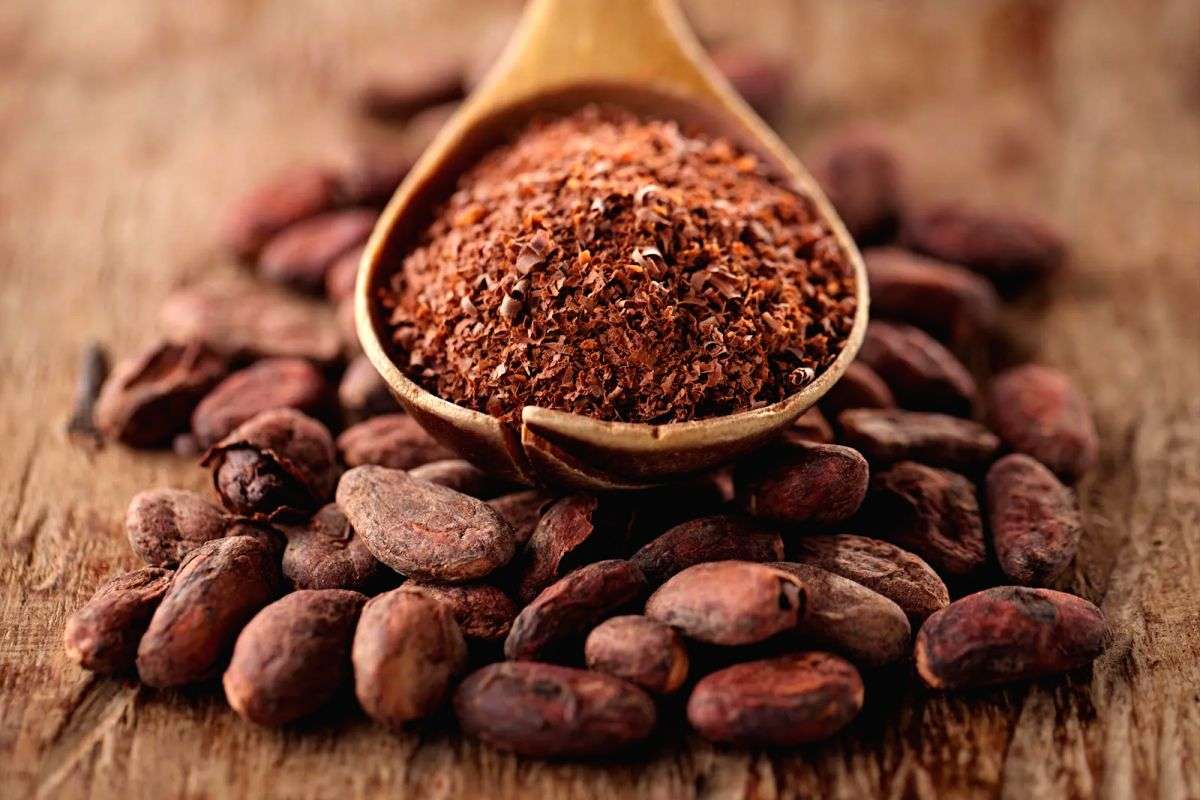 Cocoa prices at highest level since 1978 - Vimarsana News