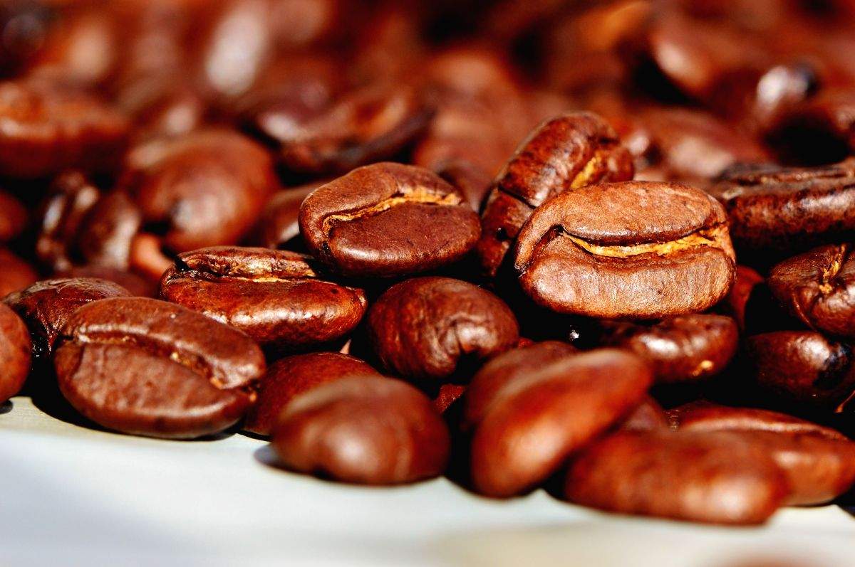 Vietnam to further promote its coffee in int'l market - Vimarsana News
