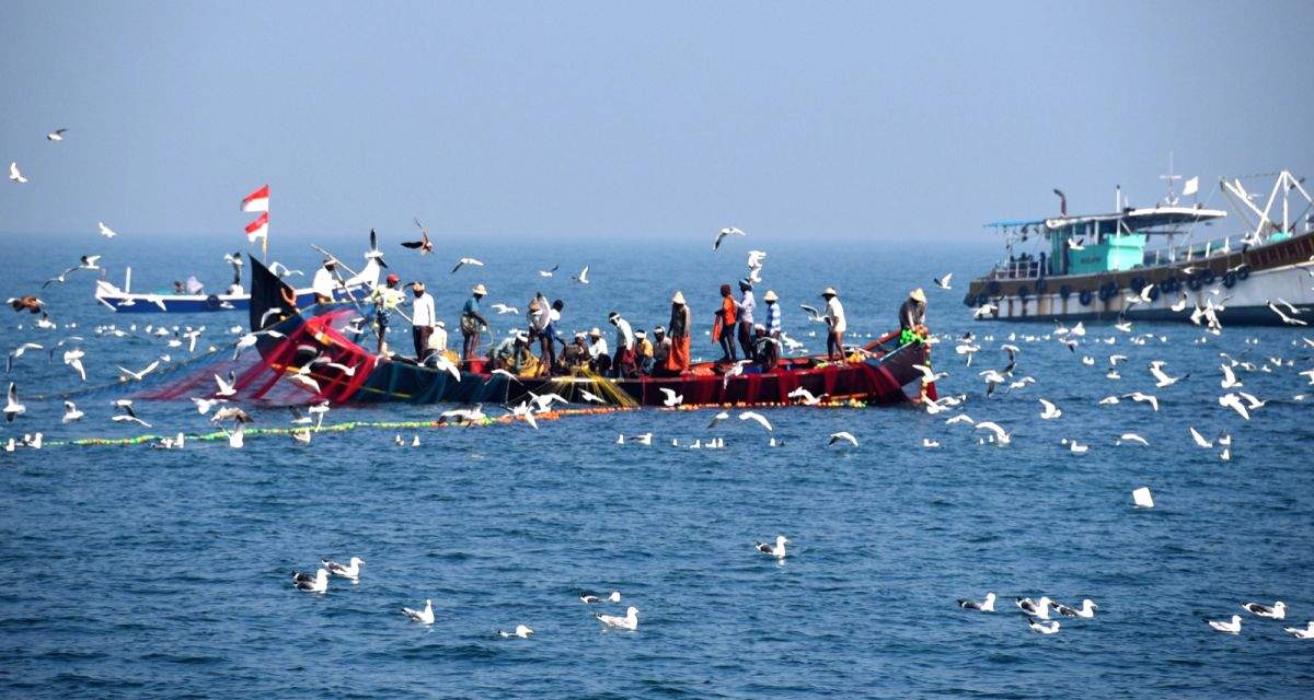 Collective efforts of Afro-Asian countries needed to address challenges in fisheries and aquaculture - Vimarsana News