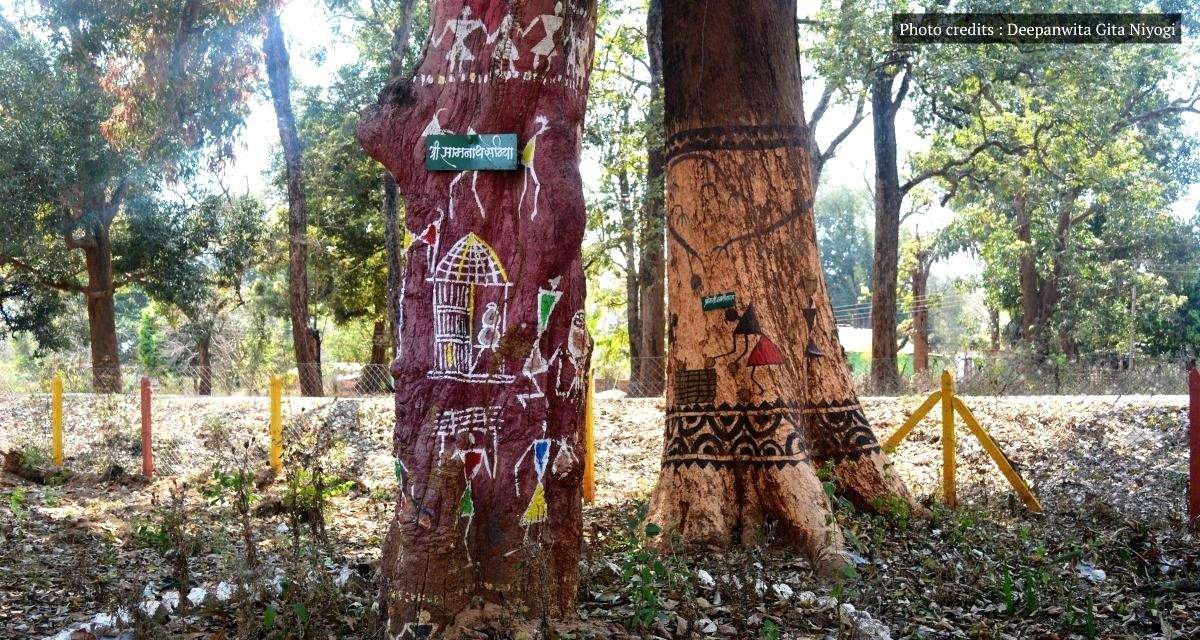 Community, state band together to revive sacred groves in Dantewada - Vimarsana News