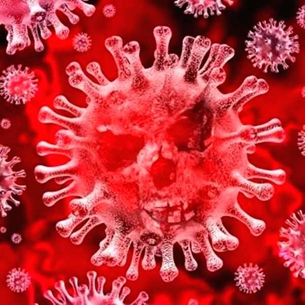 Covid human dimension series: A week after delivery, Telangana doctor loses battle to virus - Vimarsana News