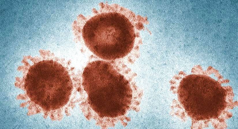 IIT Mandi reveals a key protein structure in Covid virus - Vimarsana News