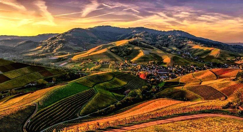 Craving an international vacation? - Vimarsana News