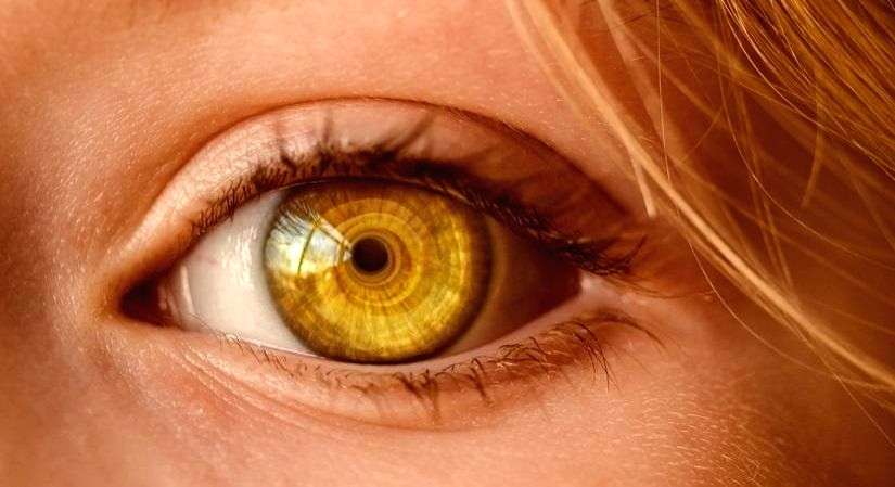 Women pip men in 'reading the mind in the eyes' test across 57 nations - Vimarsana News