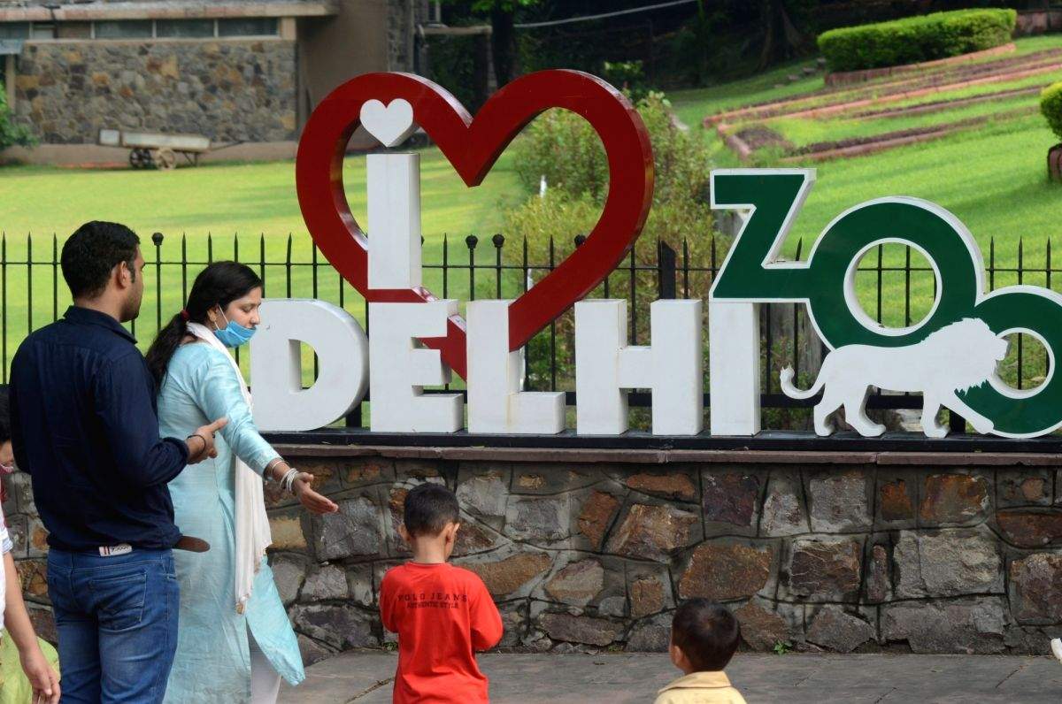 Black kite with satellite tag and new arrivals at the Delhi zoo - Vimarsana News