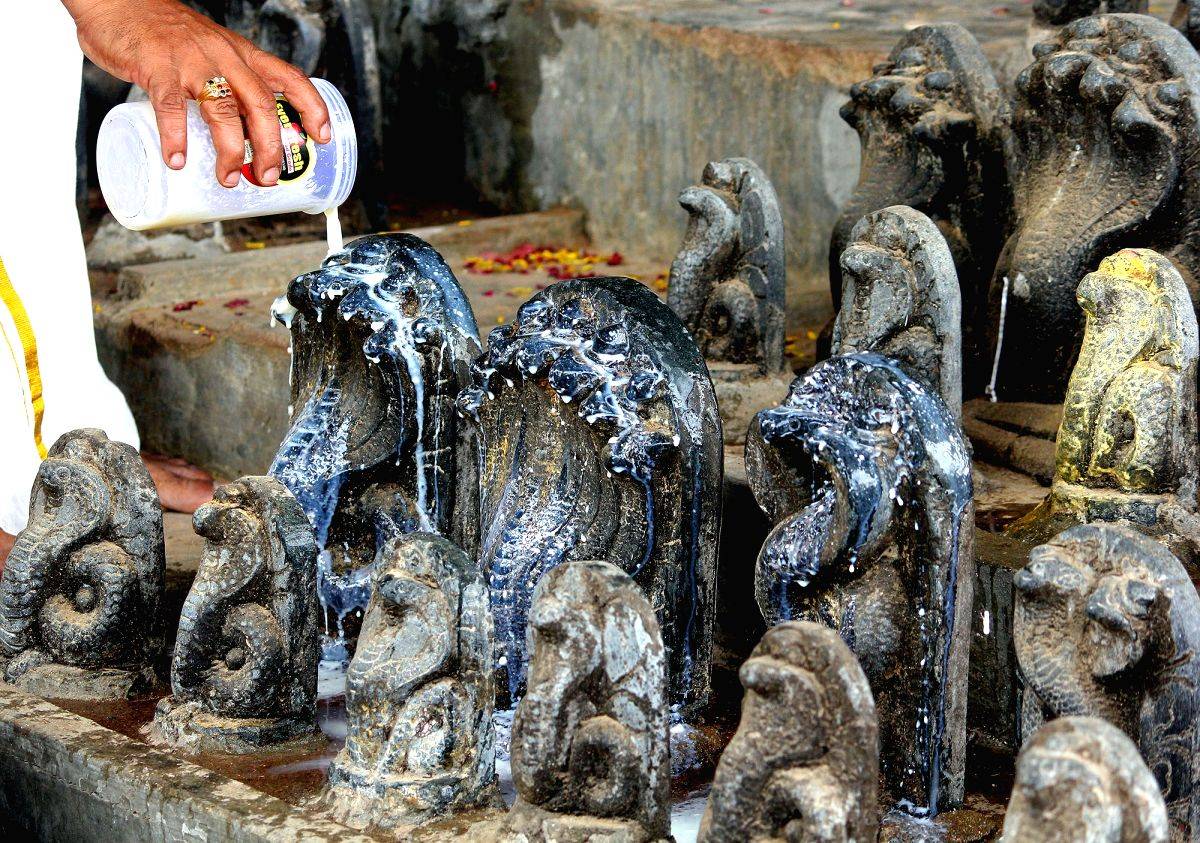 Nag Panchami Rituals and Traditions