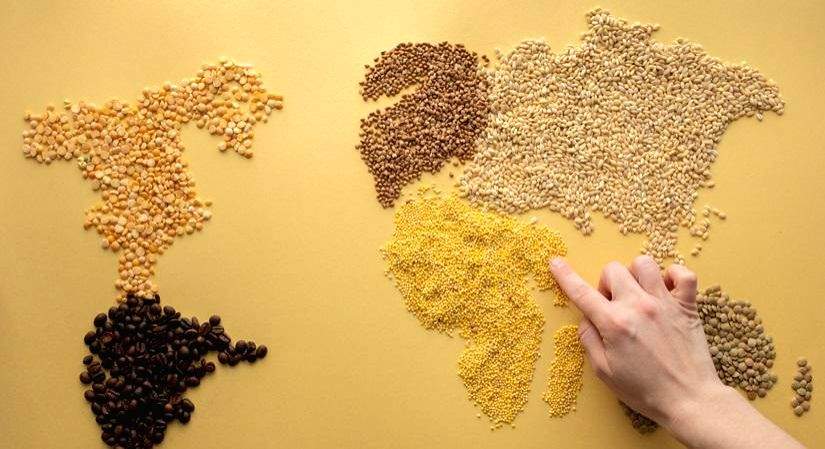 Discover the healthy world of alternative grains - Vimarsana News