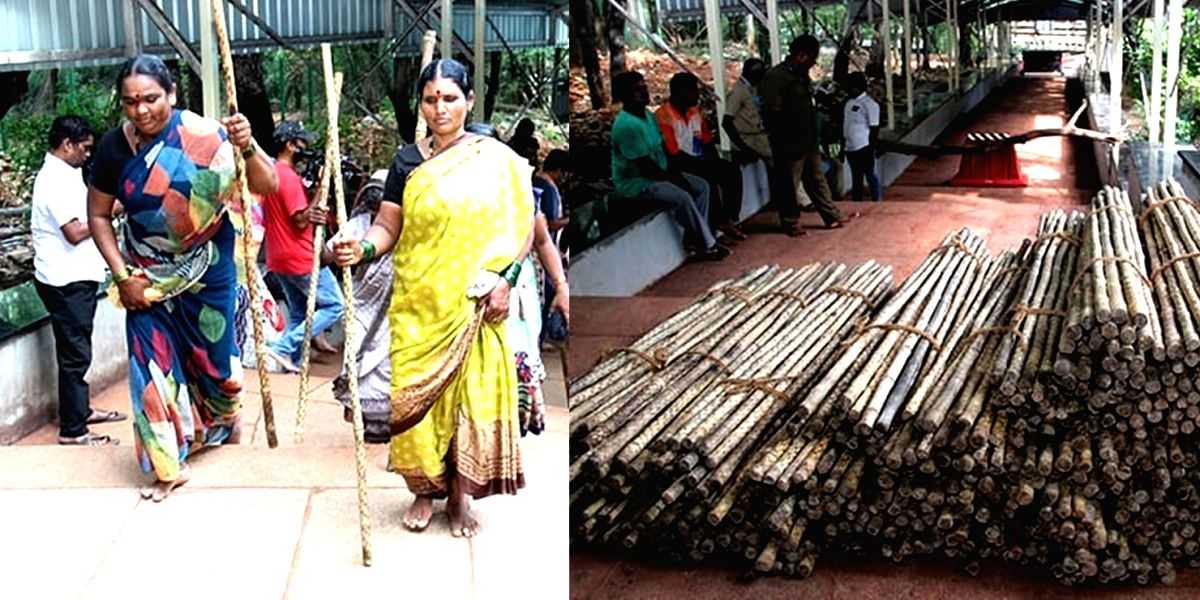 Distribution of sticks begins among Tirumala devotees for self-defence - Vimarsana News