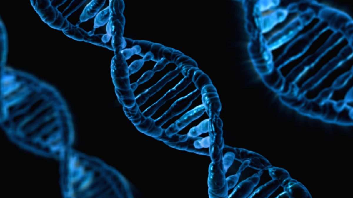 'Impinges on liberty, privacy': SC says can't force anyone for DNA test - Vimarsana News