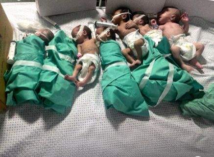 Another premature baby dies in Gaza's Al-Shifa Hospital, total reaches 5 - Vimarsana News