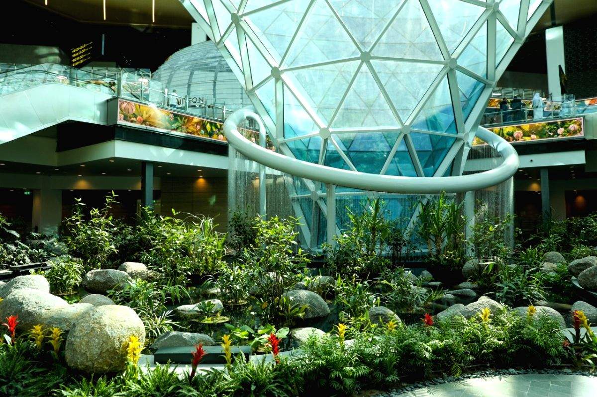 Doha's main airport opens extension with over 25,000 plants - Vimarsana News