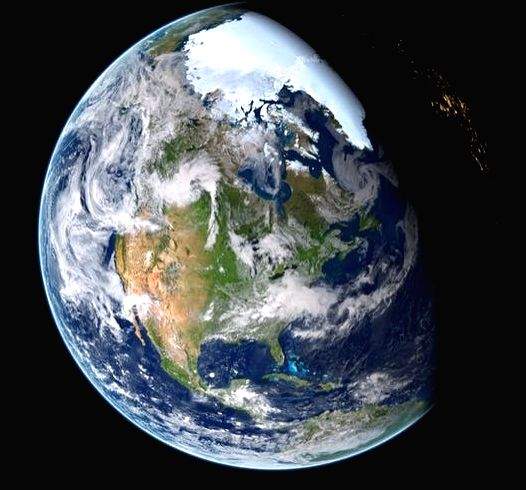 Earth going through 7th mass extinction, not 6th: Study - Vimarsana News