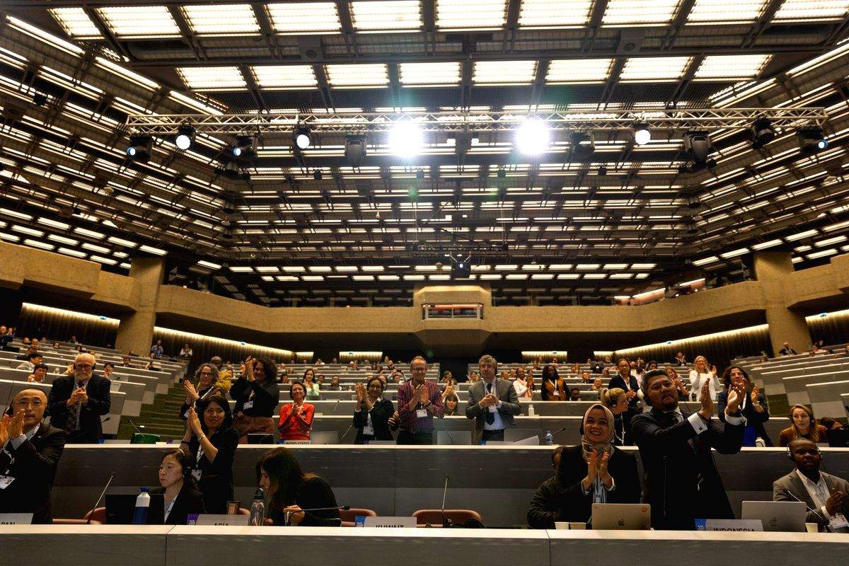 Elephant, big cat conservation reviewed at CITES meeting - Vimarsana News