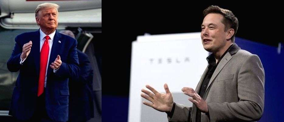 Musk condemns Trump, says 'constitution is greater than any president' - Vimarsana News