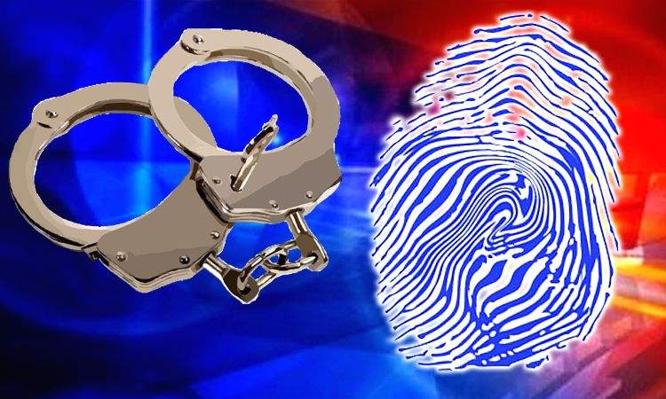 EOW arrests accused for grabbing elderly man's property in Delhi - Vimarsana News