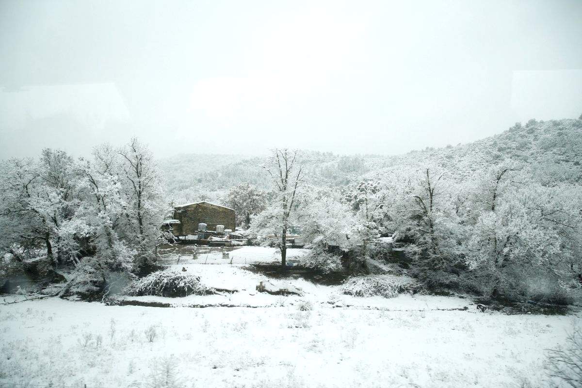 Europe in the grip of unprecedented winter drought - Vimarsana News