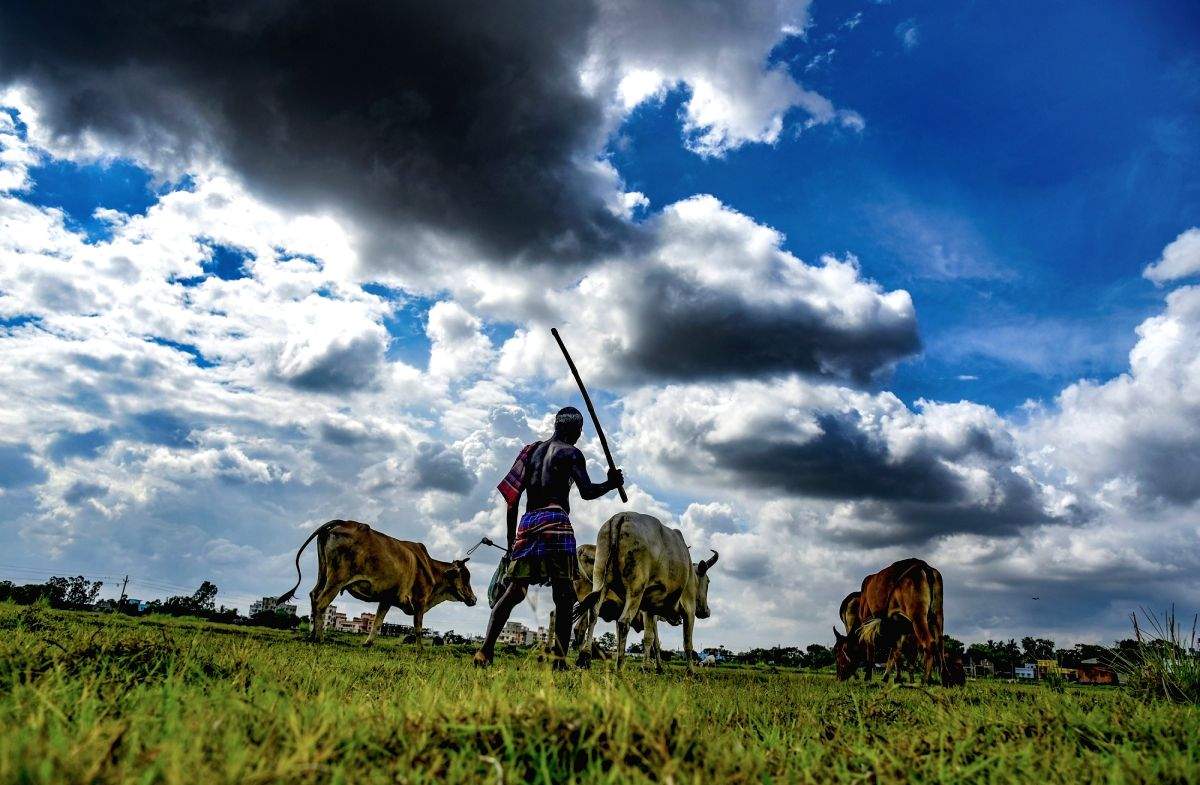 After farm laws repeal, what will happen to the proposed Committee on MSP? - Vimarsana News