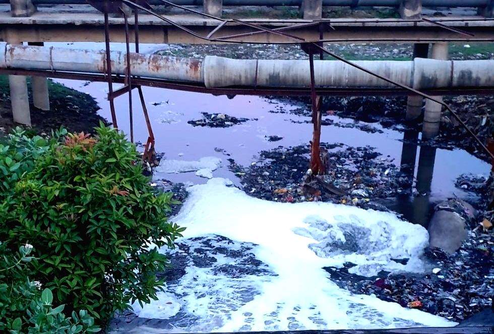 NGT on Kerala water pollution: 'Crime against humanity', 'victims poor, voiceless' - Vimarsana News