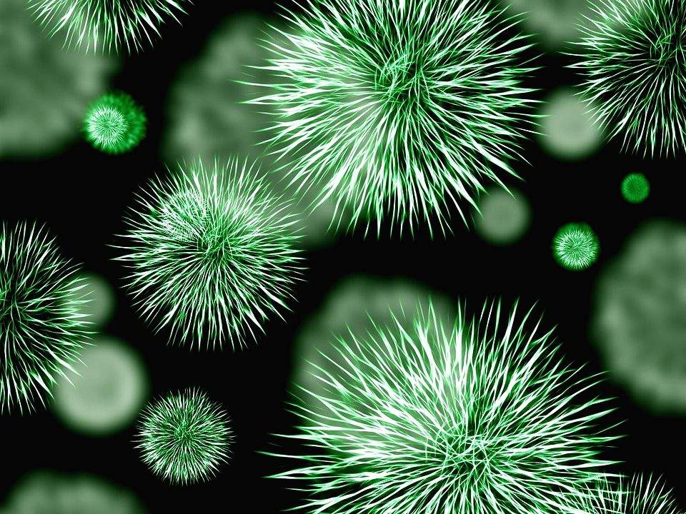 Australian researchers find new approach to break bacterial antibiotic resistance - Vimarsana News
