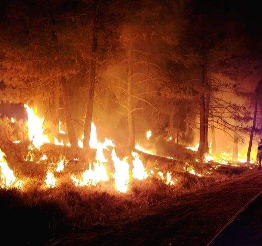 Fast-spreading wildfire forces evacuation in Texas - Vimarsana News