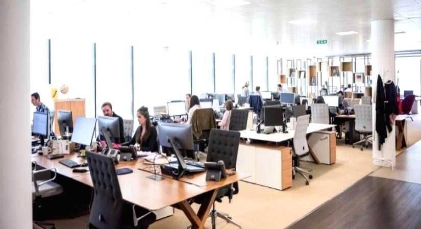 Most Indian employees optimistic about AI boosting productivity: Report - Vimarsana News