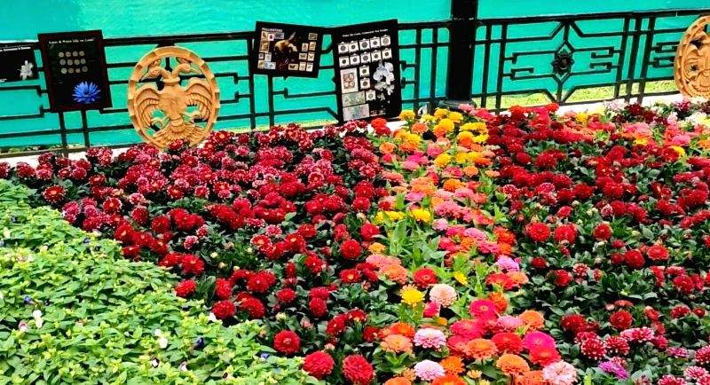 Iconic Bengaluru flower show postponed due to pandemic - Vimarsana News