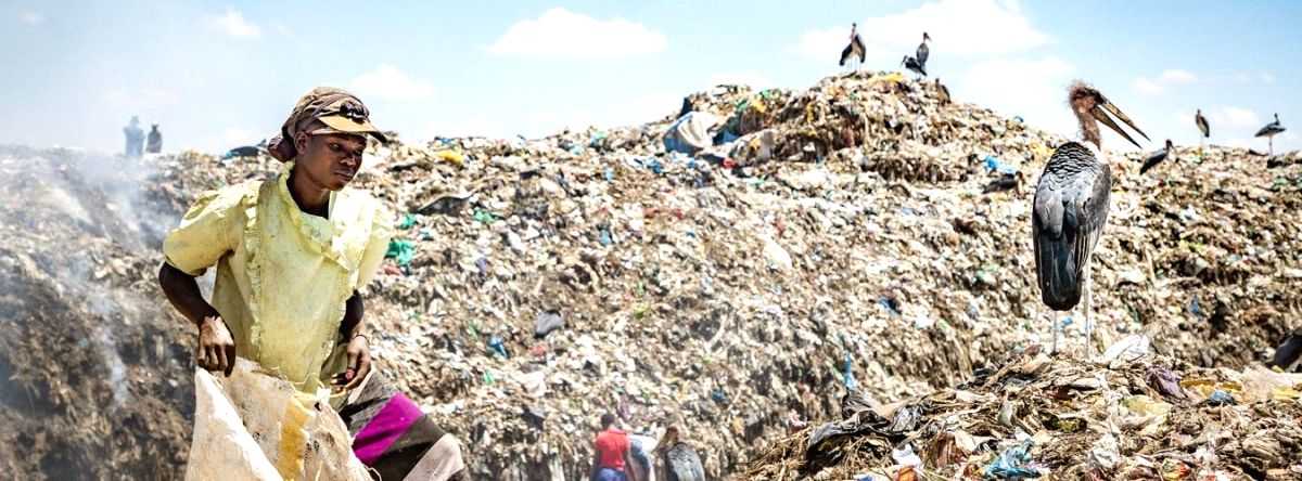 First International Day of Zero Waste bolsters actions to address crisis - Vimarsana News