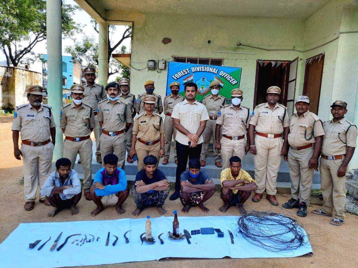 Five tribals held in Telangana for killing tiger - Vimarsana News
